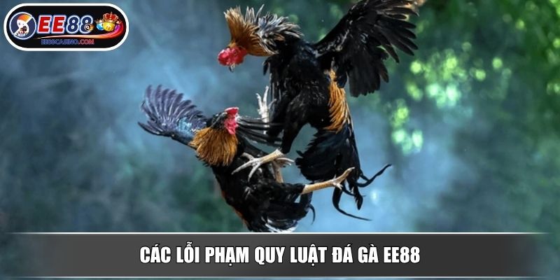 Các lỗi phạm quy luật đá gà EE88