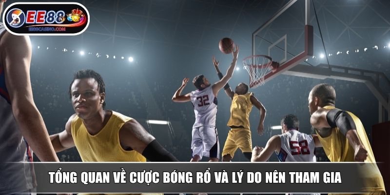Tổng quan về cược bóng rổ và lý do nên tham gia