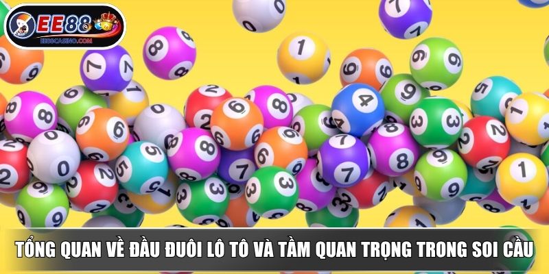 Tổng quan về đầu đuôi lô tô và tầm quan trọng trong soi cầu